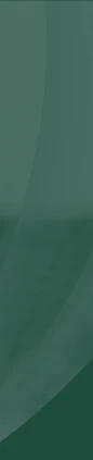 Green Border Decor